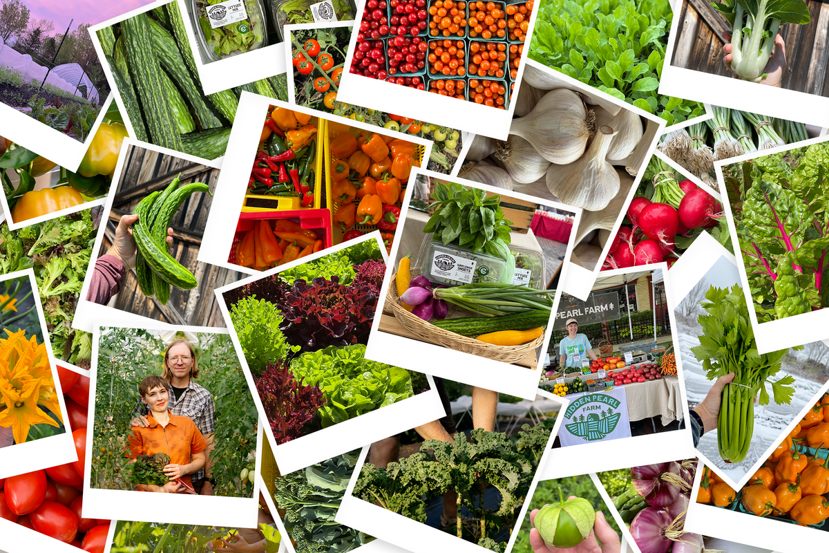 2027 CSA Share