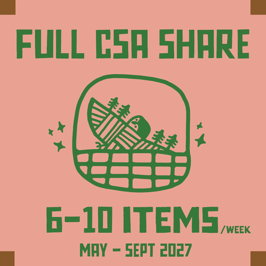 2027 summer csa