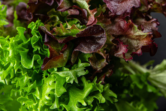 lettuce mix